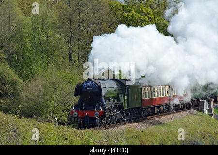 Flying Scotsman, BR 60103, (previously LNER 4472) 4-6-2 Pacific steam loco hauling historic train on visit to Bluebell Railway, West Sussex Stock Photo