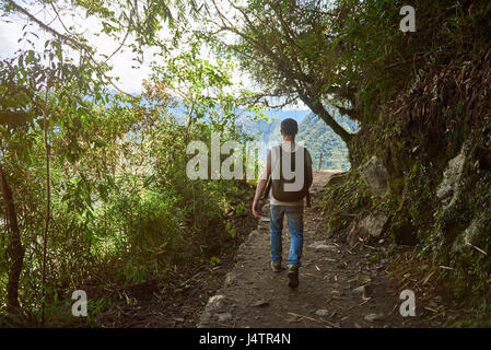 Back view of man walking in trail. Man with backpack doing hike Stock Photo