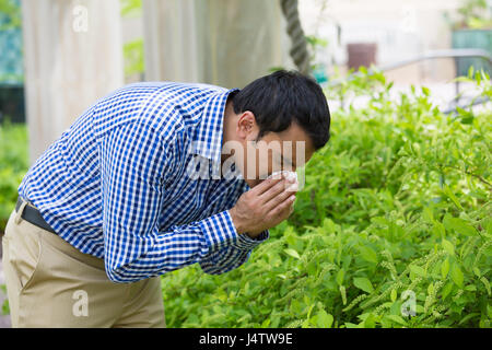 Closeup portrait of young man in blue shirt with allergy or cold, blowing his nose with a tissue, looking miserable unwell very sick, isolated outside Stock Photo