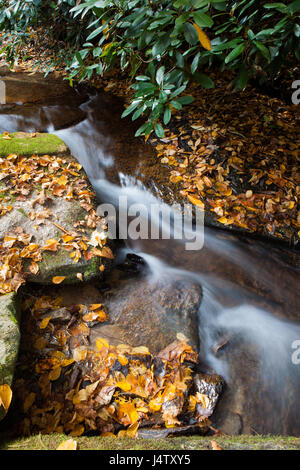 Cascades softly flow through colorful autumn leaves Stock Photo