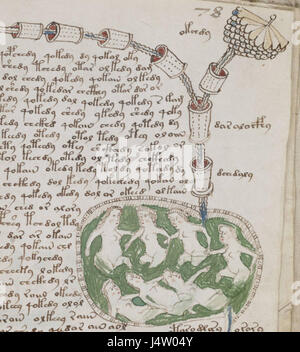 Indecipherable Writing A page from the Voynich Manuscript, a mysterious 15th-century document ...