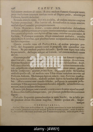 Scriptum Anatomy . The anatomy and physiology of the human body. Containing the anatomy ...
