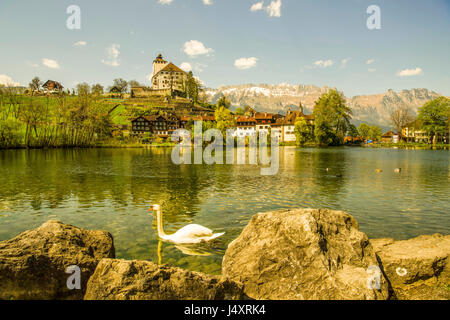 View of Werdenberg Castle seen from Buchs lake, Sankt Gallen canton, Switzerland. Derek Hudson / Alamy Stock Photo Stock Photo