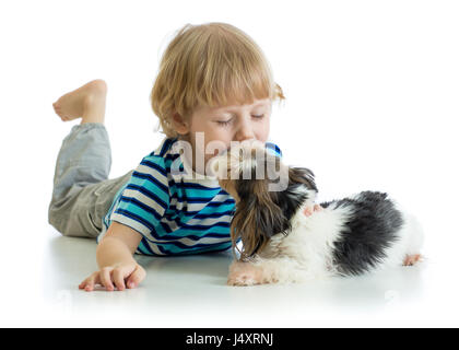 Child little boy kissing puppy dog. Isolated on white background. Stock Photo
