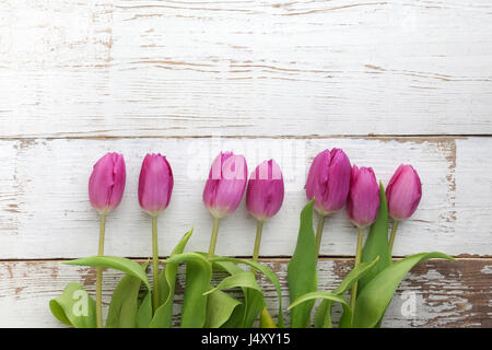 Bouquet of purple tulips on white wooden background. Top view Stock Photo
