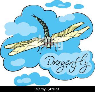 Hand drawn ink vector illustration of dragonfly Stock Vector