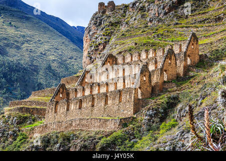 Ollantaytambo, Peru. Pinkuylluna, Inca storehouses in the Sacred Valley. Stock Photo