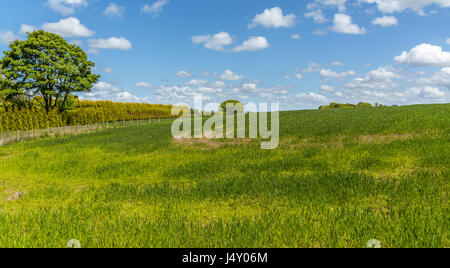 A view of the countryside and area around Ashurst Beacon at Up Holland in Wigan. Stock Photo