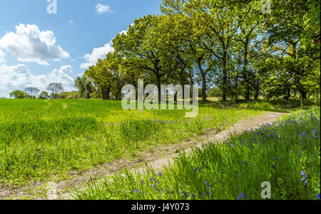 A view of the countryside and area around Ashurst Beacon at Up Holland in Wigan. Stock Photo