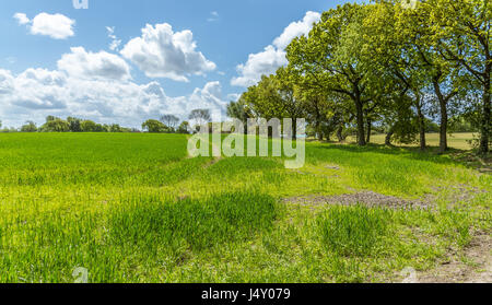 A view of the countryside and area around Ashurst Beacon at Up Holland in Wigan. Stock Photo