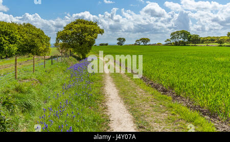 A view of the countryside and area around Ashurst Beacon at Up Holland in Wigan. Stock Photo