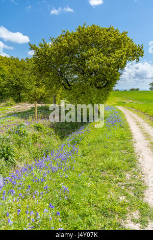 A view of the countryside and area around Ashurst Beacon at Up Holland in Wigan. Stock Photo