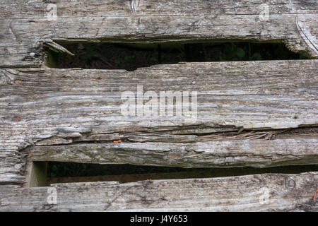 Farmyard flatbed hay trailer - planks rotted through. Possible concept for 'holed', 'repairs' and decay, prices through the floor metaphor. Stock Photo