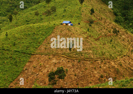 deforestation for agriculture at Vietnamese highland, forest land  into agricultural land, this make climate change, affect to living environment Stock Photo