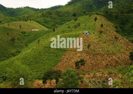 deforestation for agriculture at Vietnamese highland, forest land  into agricultural land, this make climate change, affect to living environment Stock Photo