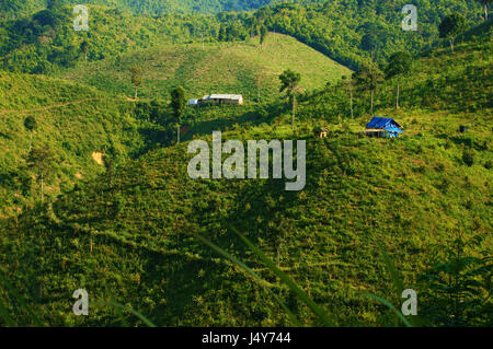 deforestation for agriculture at Vietnamese highland, forest land  into agricultural land, this make climate change, affect to living environment Stock Photo