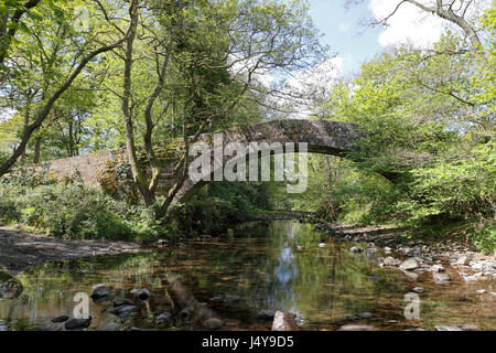 Pack horse bridge spanning the River Washburn at Dobb park, near Otley Leeds on a beautiful spring day. Stock Photo