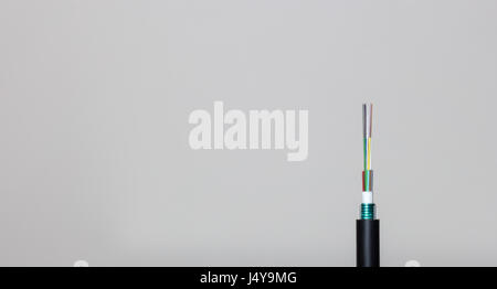 Fiber Optics Cable - Fiber To The Home internet. Close up, isolated, gray background. Stock Photo