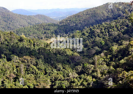 Viewpoint landscape in Kondalilla National Park, Montville, Queensland, Australia Stock Photo