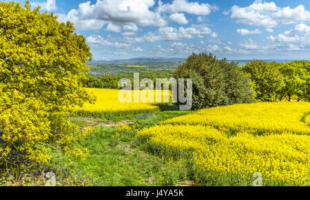 A view of the countryside and area around Ashurst Beacon at Up Holland in Wigan. Stock Photo