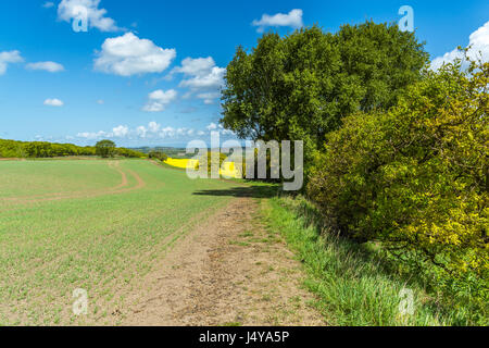 A view of the countryside and area around Ashurst Beacon at Up Holland in Wigan. Stock Photo