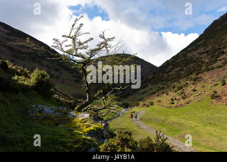 Carding Mill Valley, Shropshire in the United Kingdom Stock Photo