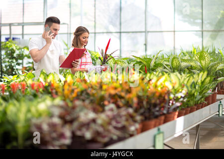 Two young florists check order list in glasshouse Stock Photo