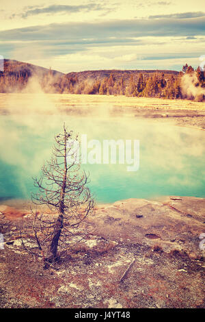 Hot spring in Yellowstone National Park, color toning applied, Wyoming, USA. Stock Photo