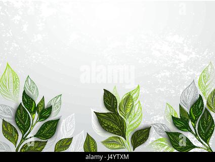 Gray, textured background with green tea leaves. Tea design. Stock Vector