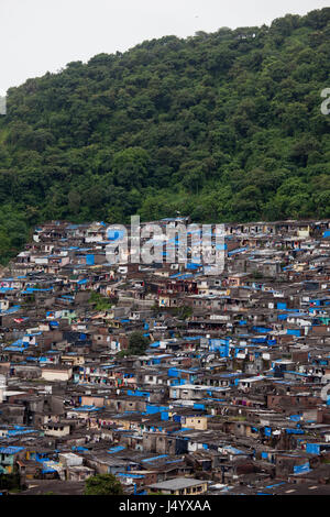 Slums on hill at vikhroli park, mumbai, maharashtra, india, asia Stock Photo