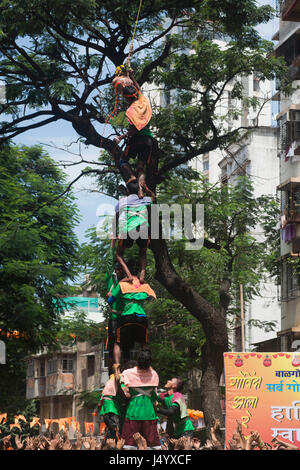 Human pyramid broken dahi handi, mumbai, maharashtra, india, asia Stock Photo