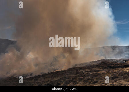 fBurning the heather on The Isle of Eriskay in th Outer Hebrides of Scotland Stock Photo
