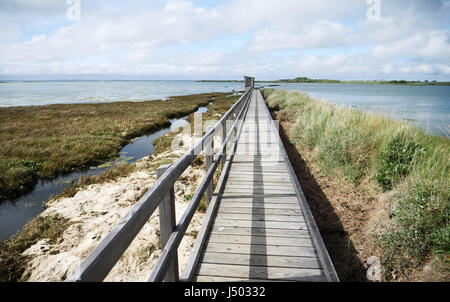 Newtown Harbour National Nature Reserve Isle Of Wight England. Boardwalk leading to the bird hide Stock Photo