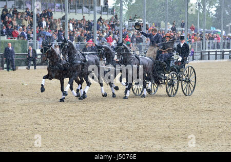 Windsor, UK. 14th May, 2017. The Royal Windsor Horse Show 2017  - Austrialian competitor  in the Carriage parade ,  caught  in a deluge of rain and about  about to  pass front of the Queen of England in the Castle Arena on the final day of the Royal Windsor Horse Show  Credit Gary Blake/Alamy Live News Stock Photo