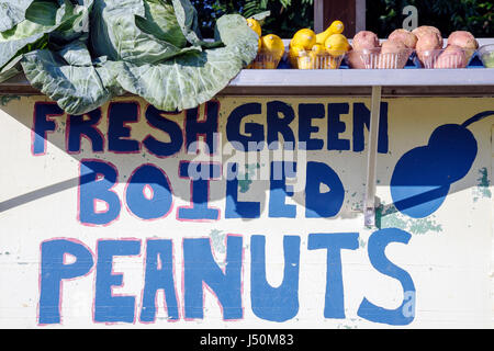 Alabama,Coffee County,Enterprise,Highway 84,roadside produce stand,fresh green boiled peanuts,AL080520042 Stock Photo