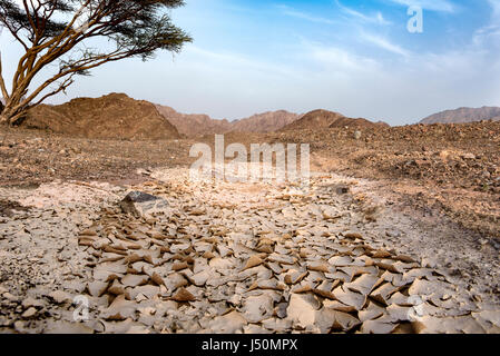 Beautiful View of Lakes and Desert in United Arab Emirates Stock Photo