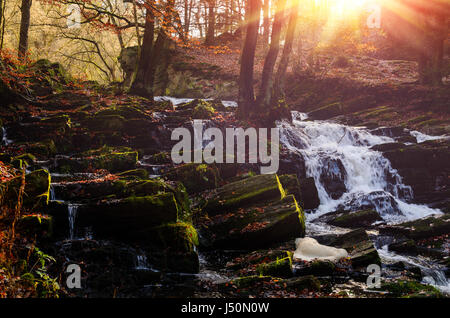 waterfall in misty autumn forest Stock Photo