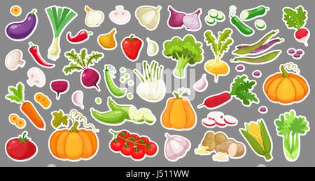 Big set of colorful vegetables. Isolated stickers of vegetables. Natural fresh organic vegetables.Cartoon style vector illustration. Stock Vector