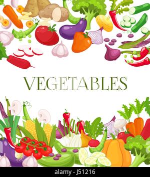 Vegetable and healthy food menu poster. Fresh carrot, tomato, pepper, onion, broccoli, cabbage, garlic, cucumber, cauliflower, kohlrabi and radish. Vegetarian food, organic shop design Stock Vector