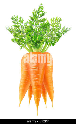 Isolated carrots. Bunch of carrots with leaves isolated on white background with clipping path Stock Photo