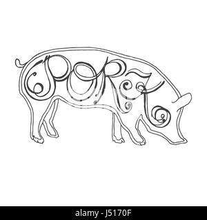 hand drawn pig with pork lettering Stock Vector