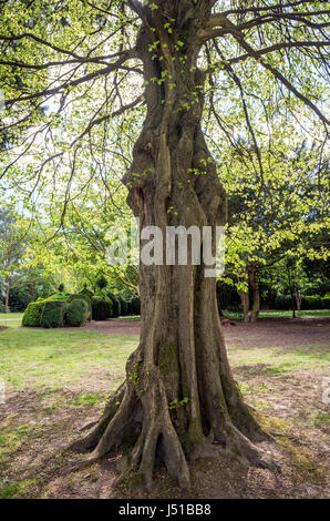 Nymans Gardens, West Sussex, UK Stock Photo