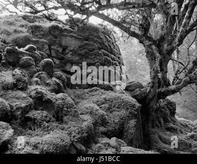 Dun Borodale broch, Raasay, off Skye: exterior face of S arc of drystone walling showing fallen stones & the wall's angle of batter (inward lean). Stock Photo