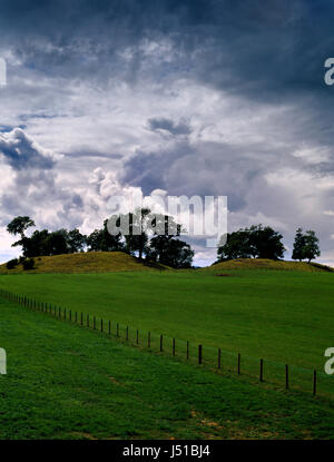 Mayburgh Henge, Cumbria: exterior view showing bank of stones up to 4.5m (15ft) high enclosing a circular area (110m diameter) with a standing stone. Stock Photo