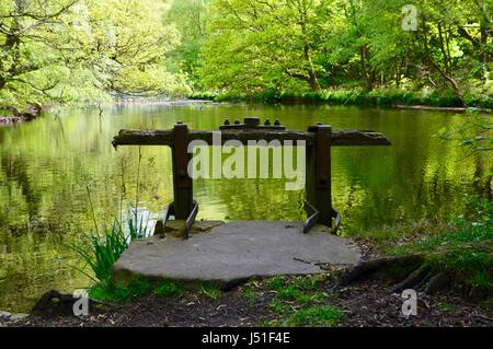 Old sluice gate on a mill pond. Stock Photo