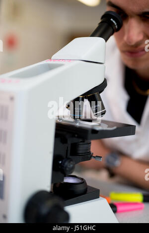 Scientist looking through a microscope Stock Photo