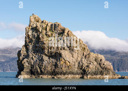 Two Bald Eagles guard a nest on top of a rock monolith in the Copper River Delta in Southcentral Alaska. Stock Photo