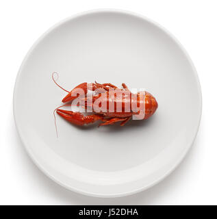 Boiled crayfish on white ceramic plate isolated on white background Stock Photo