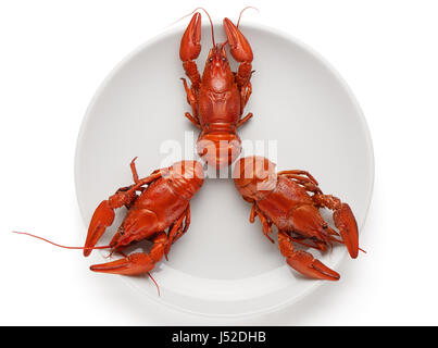 Three boiled crayfishes on white ceramic plate isolated on white background Stock Photo