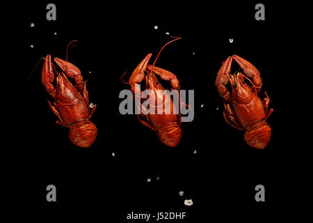 Three boiled crayfishes with sea salt isolated on black background Stock Photo